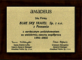 Podziękowania od Amadeus Polska 98 mały
