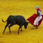 pokaz walki z bykiem